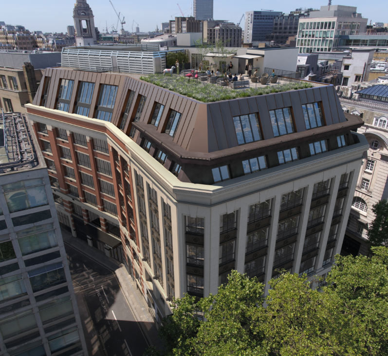 The Terrace